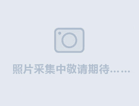 氨氣：從性質(zhì)到應(yīng)用的全面剖析